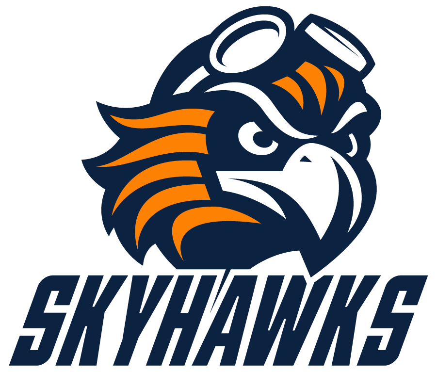 Tennessee-Martin Skyhawks 2020-Pres Alternate Logo v4 iron on transfers for T-shirts
